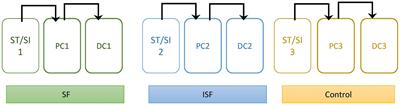 Supplementation with soluble or insoluble rice-bran fibers increases short-chain fatty acid producing bacteria in the gut microbiota in vitro